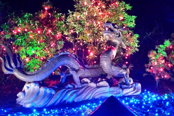 1 hour City Tour & Butchart Gardens: Christmas - Entry included! - Starting at 2:30 pm in downtown Victoria