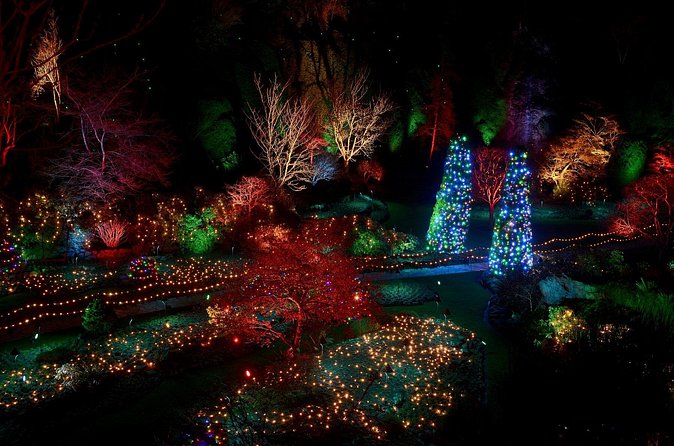 1 hour City Tour & Butchart Gardens: Christmas - Entry included! - Who should book this Christmas tour?