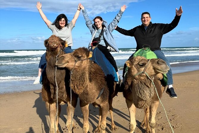 3 Days 2 Nights Christmas Getaway in Tangier & Chefchaouen - Boxing Day: a gentle finish in Tangier