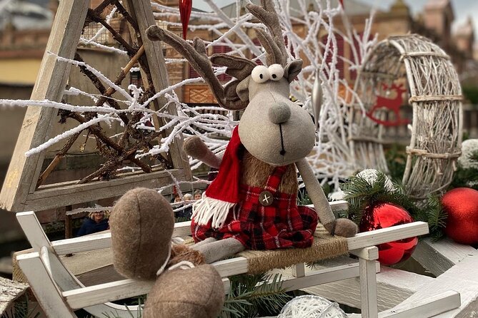 Alsace Christmas Markets & Fairy Tale Villages Private Tour from Strasbourg - What the private vehicle changes