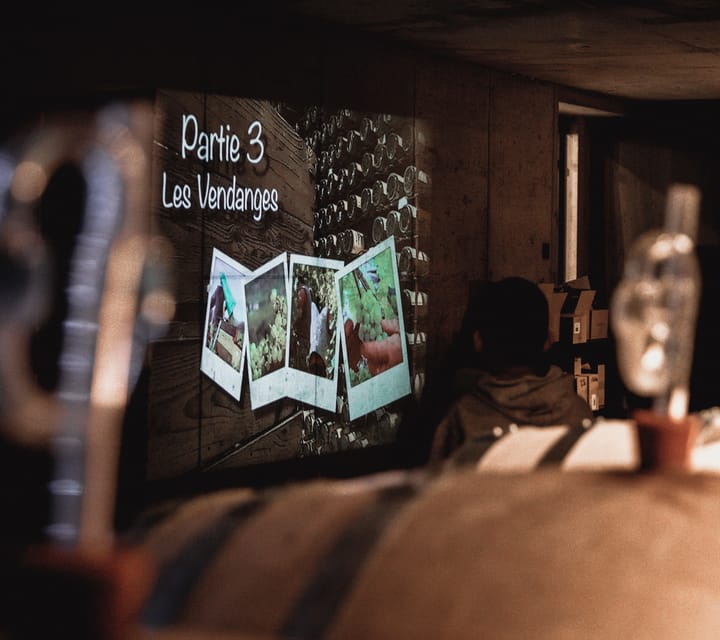 Alsatian Christmas Immersive Wine Tour with Wine Tasting - Practical value at $29