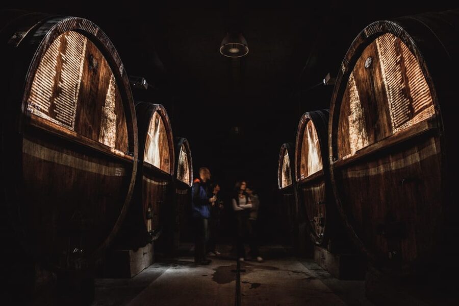 Alsatian Christmas Immersive Wine Tour with Wine Tasting - The 1850 oak barrels