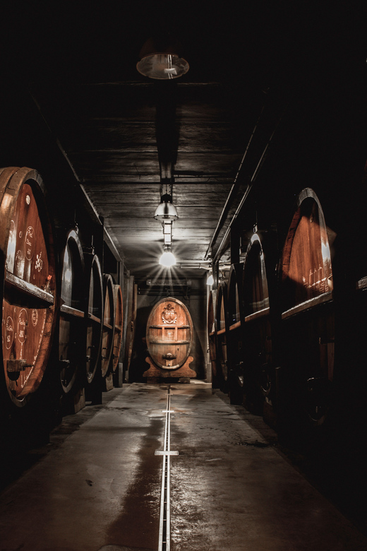 Alsatian Christmas lunch with Immersive wine cellar tour - Key points to know before booking