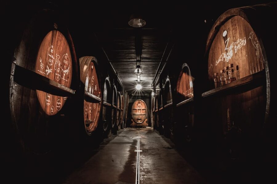 Alsatian Christmas lunch with Immersive wine cellar tour - Should you book the Zeyssolff Christmas lunch?