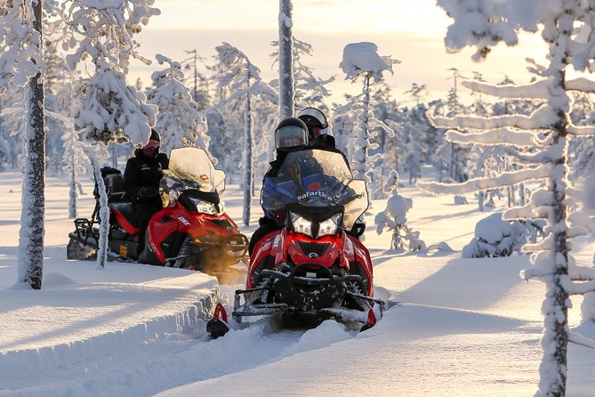 Arctic Delight - Visit to Santa's Village and snowmobiling to reindeer farm - Group size changes the feel of the day