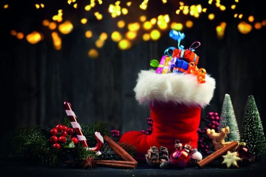 Bonn: Winter Christmas tour by boat - From Alten Zoll to the Rhine at Christmas