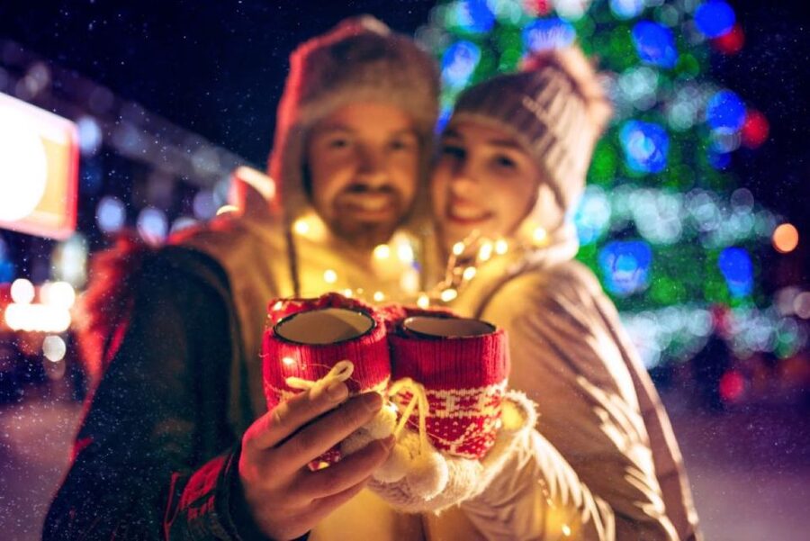 Bonn: Winter Christmas tour by boat - Oberkassel and the Bonner Bogen