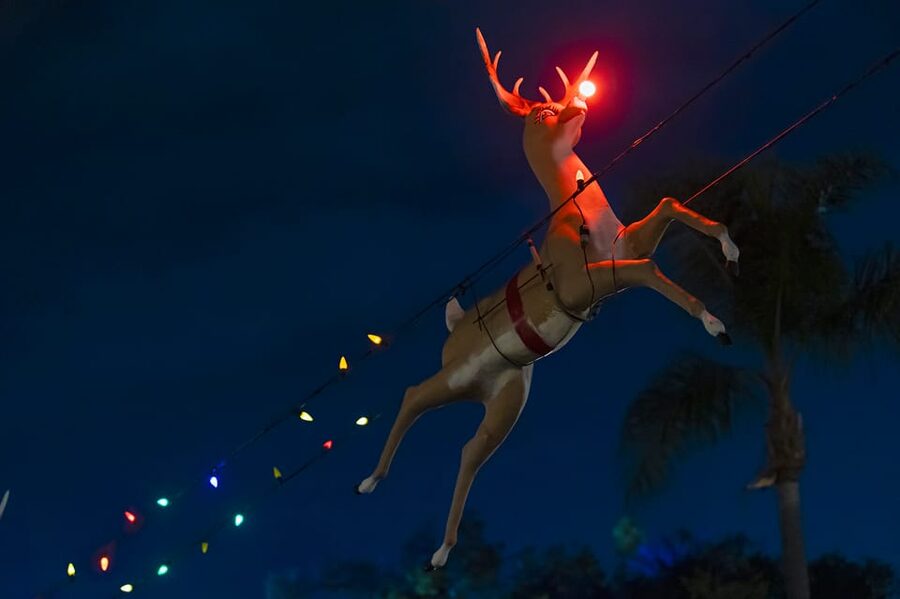 Boston: Holiday Sights and Festive Nights Trolley Tour - Beacon Hill and Charles Street