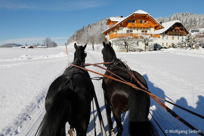 Christmas Horse-Drawn Sleigh/Carriage Ride from Salzburg - From Mirabellplatz to the Dachstein foothills