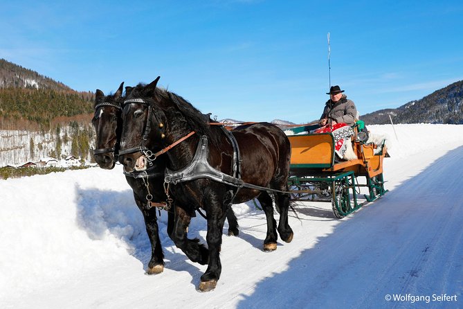 Christmas Horse-Drawn Sleigh/Carriage Ride from Salzburg - The guides shape the day