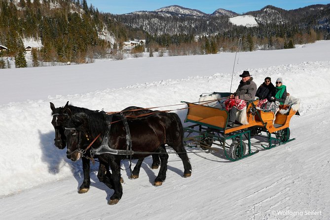 Christmas Horse-Drawn Sleigh/Carriage Ride from Salzburg - Is the $151.23 price fair?