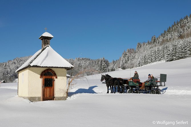 Christmas Horse-Drawn Sleigh/Carriage Ride from Salzburg - Lunch at your own cost