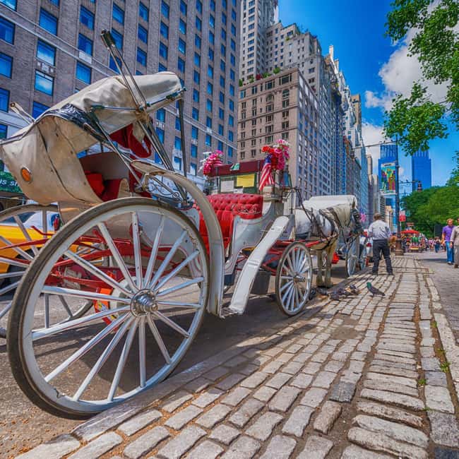 Christmas in Central Park: Horse Carriage Holiday Tour - From Wollman Rink to the park’s holiday paths