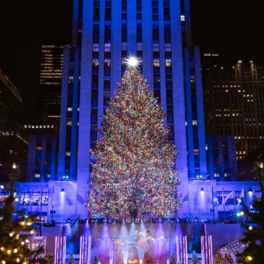 Christmas in New York: Pedicab Tour & Rockefeller Tree - Central Park in winter