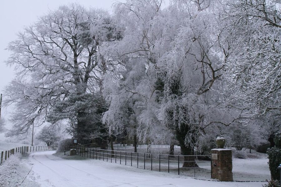 Christmas in Oxford, the Cotswolds and Stratford with Lunch - Oxford, from ancient lanes to college courtyards