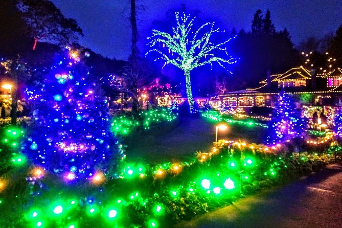 Christmas in Victoria and the Butchart Gardens - Choosing Between the 4, 5, and 6 p.m. Departures