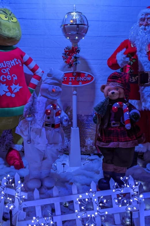 Christmas Light Night tour - Key points to know