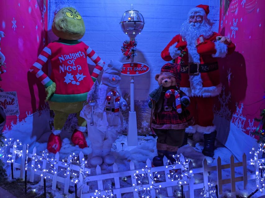 Christmas Light Night tour - The guide can make or break the experience