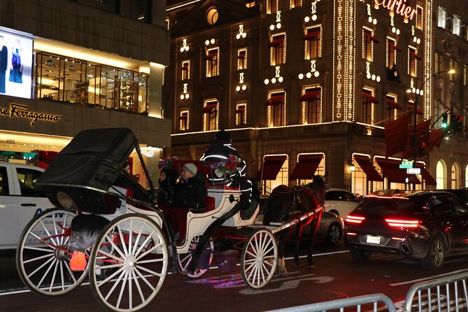 Christmas Light Private Carriage Ride New York City - Rockefeller Center and the famous tree