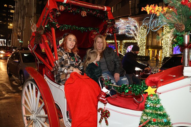 Christmas Light Private Carriage Ride New York City - Radio City Music Hall and the final holiday loop