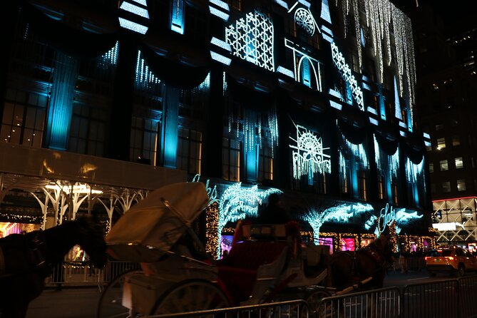 Christmas Light Private Carriage Ride New York City - A brief Central Park view at the Pond