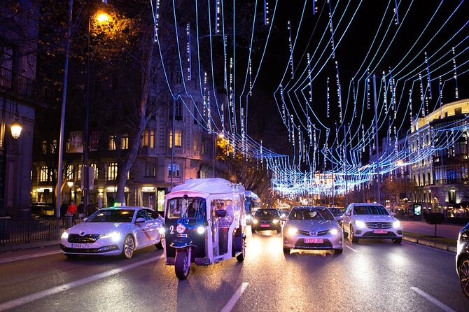 Christmas Lights Tour of Madrid in Eco Tuk Tuk Private - San Jerónimo el Real and the final stretch