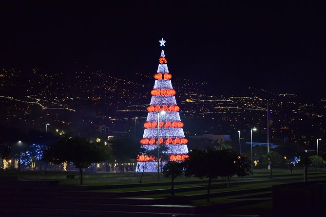 Christmas Lights Tukxi Tour (price per tukxi - up to 5 people) - Avenida do Mar brings the lights to the waterfront
