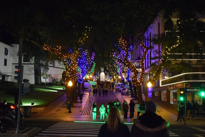 Christmas Lights Tukxi Tour (price per tukxi - up to 5 people) - Starting along Infante Dom Henrique