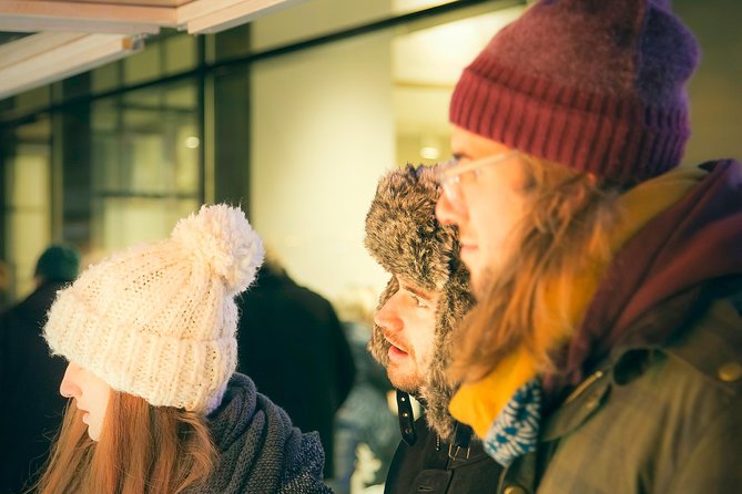 Christmas Market Vienna Tour - What this Vienna Christmas market tour is really like