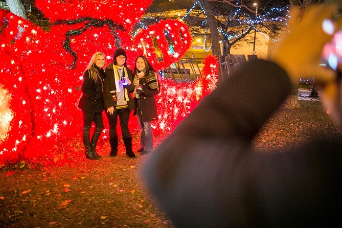Christmas Past, Present and Future Light Tour in Milwaukee - Key points to know before booking