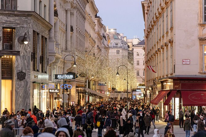 Christmas Walk Vienna : 5 Markets & Old Town in 3h (EN/DE) - Maria Theresa’s monument adds imperial scale