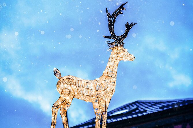 Christmas Walk Vienna : 5 Markets & Old Town in 3h (EN/DE) - Am Hof balances old Vienna and new tastes