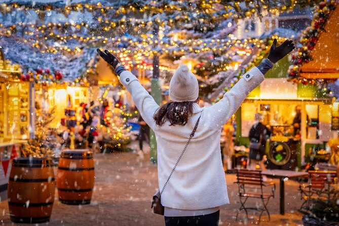 Copenhagen Private Christmas Walking Tour with Gløgg - Stork Fountain: pastries, gløgg, and a central city pause