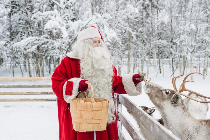 Daytour to Santa Claus Village, Reindeer and Husky Safaris, Photo, and Lunch - Santa’s Main Post Office
