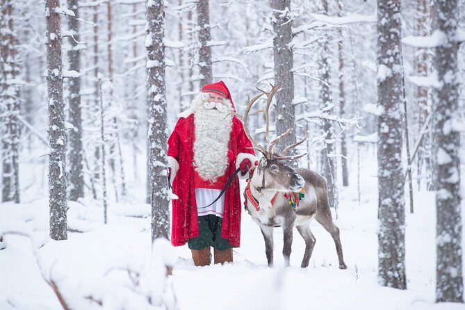 Daytour to Santa Claus Village, Reindeer and Husky Safaris, Photo, and Lunch - Reindeer sledding across 400 metres
