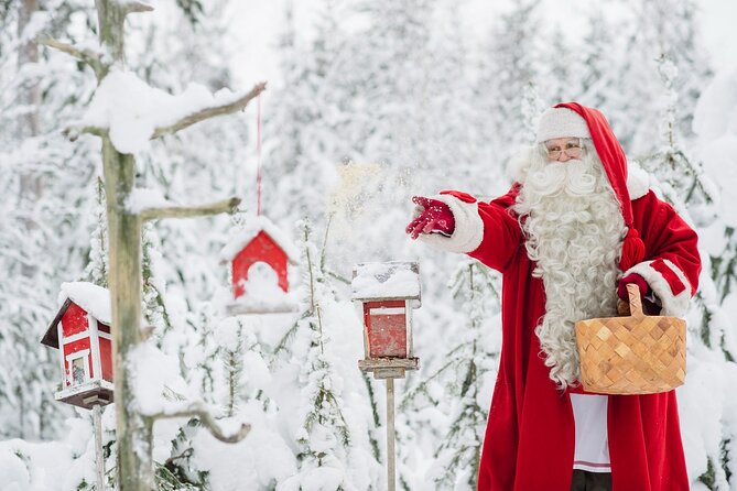 Daytour to Santa Claus Village, Reindeer and Husky Safaris, Photo, and Lunch - The 500-metre husky safari