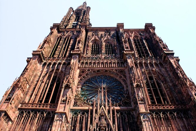 Discover Strasbourg Christmas markets - Free drink - Key points to know before booking
