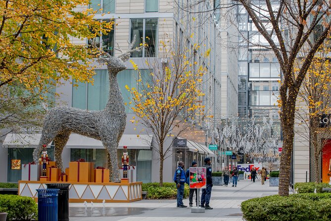 Downtown DC Holiday Tour: Lights, Decorations & Festive Cheer - Starting at the Holiday Street Market on 7th Street