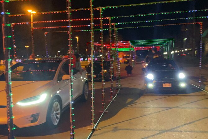 Drive through Christmas Lights Show - Who will enjoy this most
