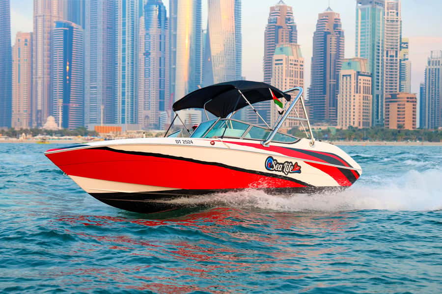 Dubai: New Year's Eve Private or Shared Fireworks Boat Tour - Palm Jumeirah: the main scenic stretch