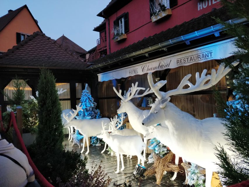 Enchanting Christmas Experience From Colmar - Why this makes sense from Colmar