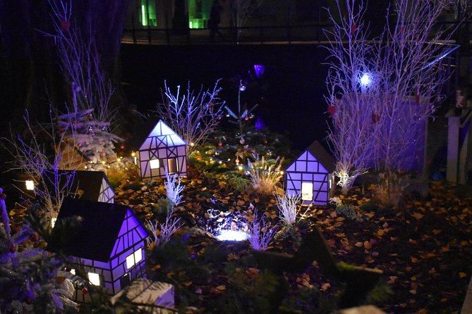 Experience the magic of Christmas in Riquewihr and Eguisheim! - Eguisheim brings a different village mood