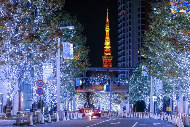 Experience the Magic of Christmas in Tokyo - Tokyo Christmas lights without the transit puzzle
