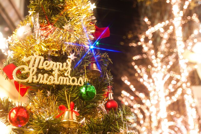 Experience the Magic of Christmas in Tokyo - Tokyo Tower and Ginza after dark