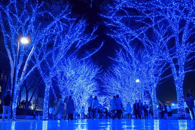 Experience the Magic of Christmas in Tokyo - Marunouchi’s champagne-gold street trees