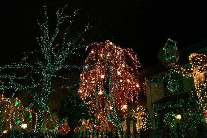 French Christmas Tour in Brooklyn - Who will enjoy this Christmas walk?