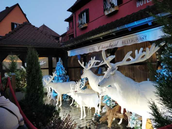 From Colmar: Christmas Markets Across 3 Borders - Basel: a Swiss market with a warm city setting