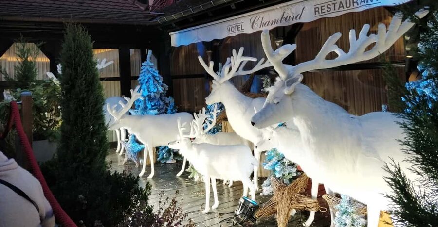 From Colmar: Christmas Markets Across 3 Borders - Food, shopping, and your own timing