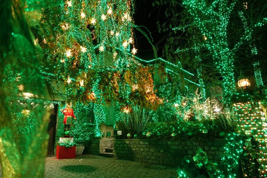 From Manhattan: 4-Hour Christmas Lights Luxury Bus Tour - The Ride Back Through Greenwich Village