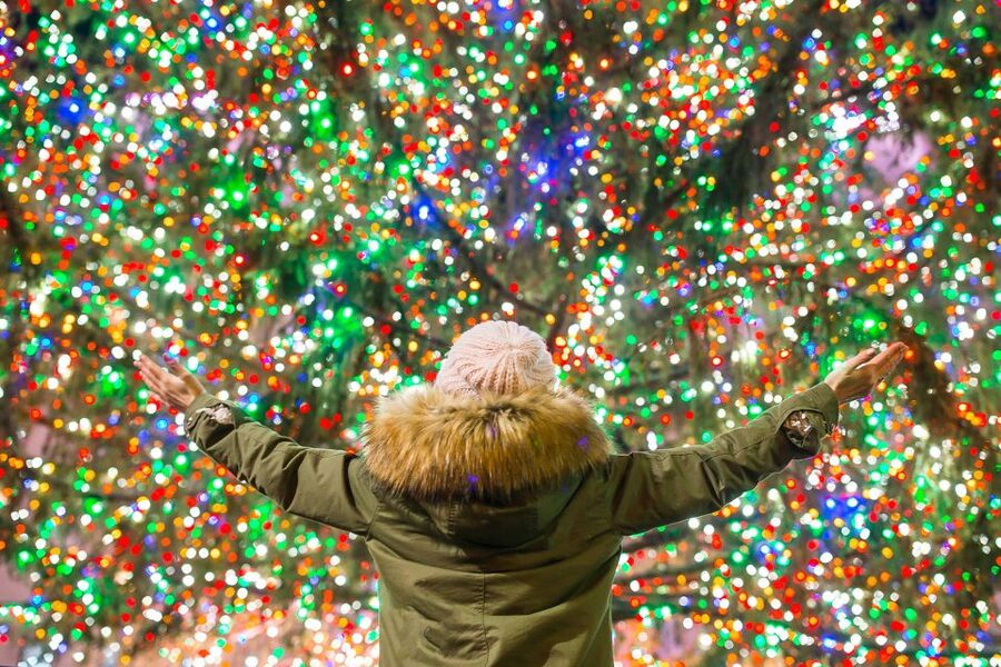 From Manhattan: 4-Hour Christmas Lights Luxury Bus Tour - Ending Near Rockefeller Center